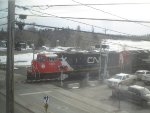 CN 8300